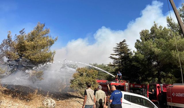 Gaziantep’te orman yangınına helikopter ile müdahale edildi