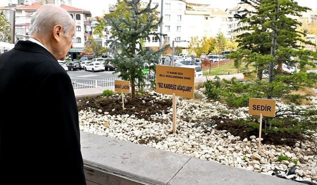 MHP’den dikkat çeken paylaşım: "Bahçeli genel merkez önüne ‘Biz Kardeşiz Ağaçları’ dikti"