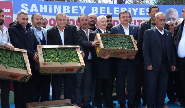 Gaziantep'teki çiftçilere 7 milyon fide desteği
