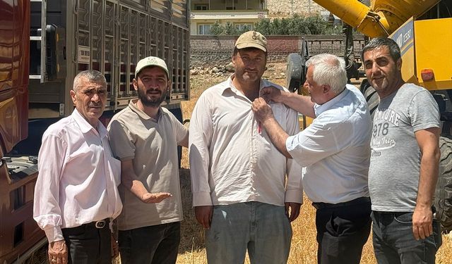 Araban Ovası'nda yılın ilk buğday hasadı yapıldı