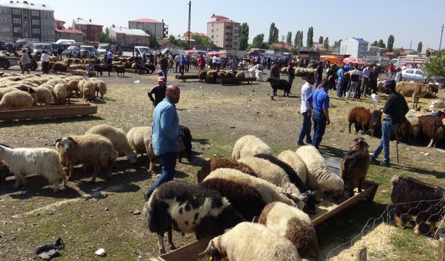 Gaziantepliler dikkat! Bayram öncesi kurban hilesi...