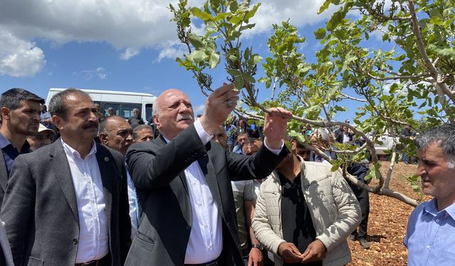 TZOB Genel Başkanı Bayraktar, Gaziantep ve Kahramanmaraş'ta zirai dondan etkilenen meyve bahçelerini inceledi