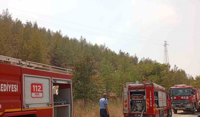 Nizip'te mesire alanında korkutan yangın