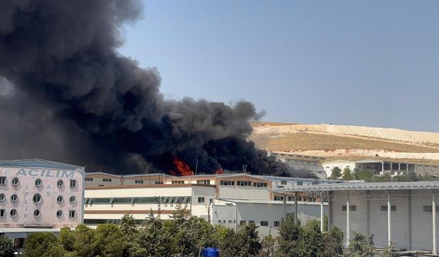 Gaziantep'te halı fabrikasında yangın!