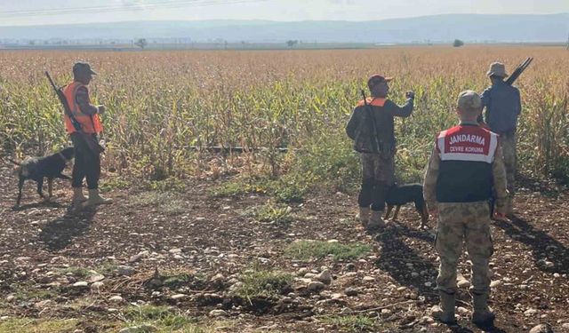 Gaziantep’te yaban domuzu alarmı! Önlemler alındı...