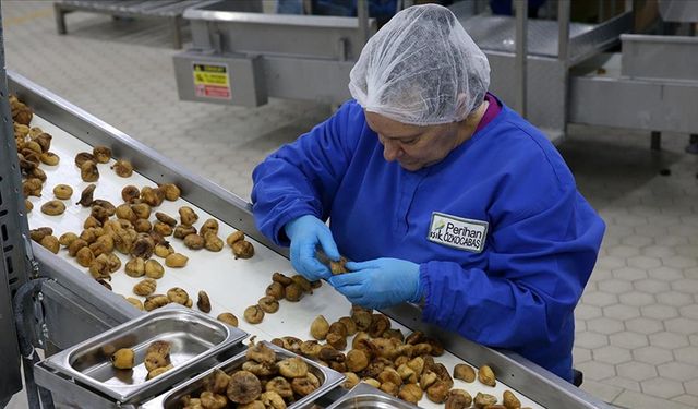 Türkiye'den 9 ayda 1,2 milyar dolarlık kuru meyve ve mamulleri ihracatı yapıldı