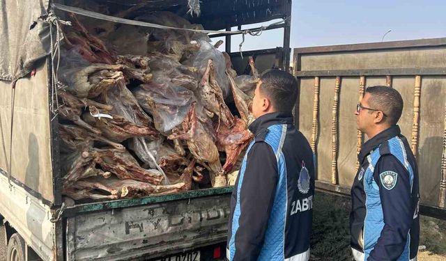 Gaziantep'te kamyonet kasasında kilolarca bozuk et ele geçirildi