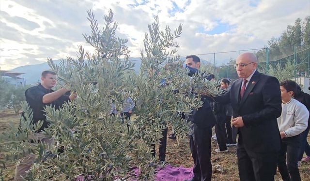Şehitler için dikilen zeytin fidanlarının geliri TSK Güçlendirme Vakfı'na bağışlandı