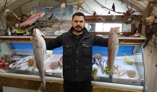 Gaziantep'te balık, kebabın tahtını sallıyor