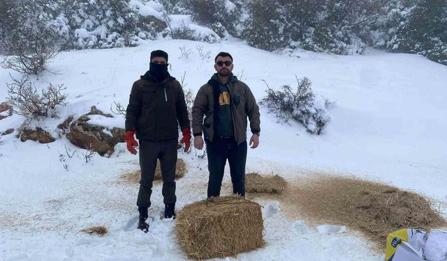 Gaziantep'te karlı havada aç kalan yaban hayvanları için doğaya yem bırakıldı