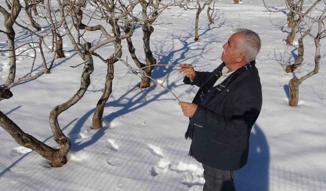 Kar yağışı Gaziantep'te çiftçinin yüzünü güldürdü
