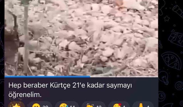 PKK / SDG'li teröristlerin öldürdükleri sivilleri saydığı ortaya çıktı