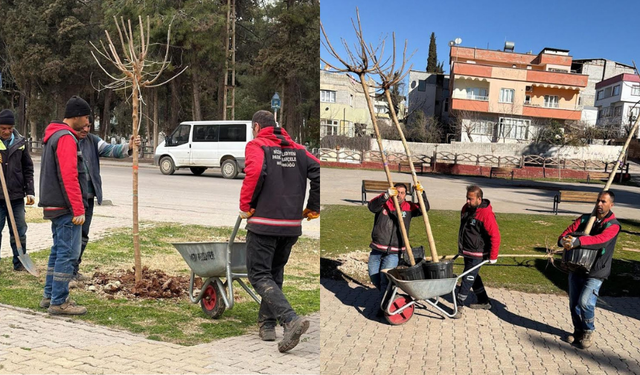 Nizip'te ekipler daha yeşil bir ilçe için sahada