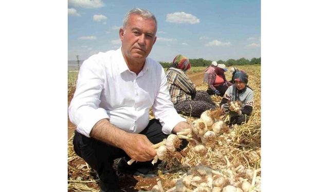 AB Tescilli Araban Sarımsağı dünya devleri arasında 5'inci seçildi