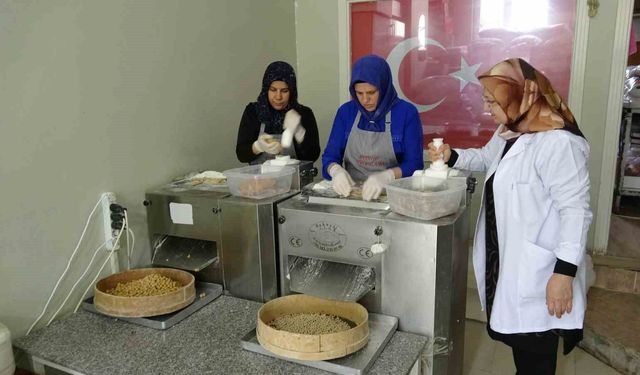 Gaziantep'te misafirlerine yaptığı yuvalama hayatını değiştirdi