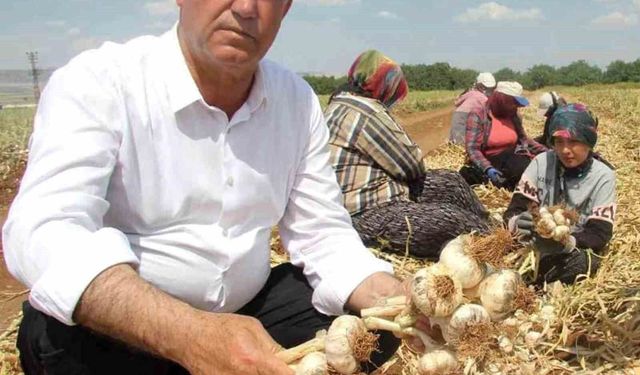 Hasan Altun'dan yüksek maliyetin düşürülmesi talebi