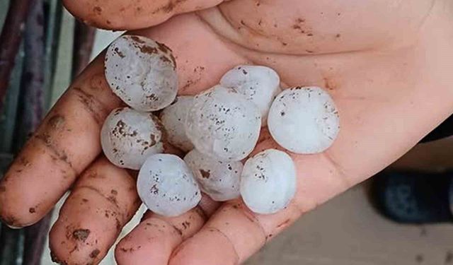 Araban'da etkili olan dolu yağışı korkuttu