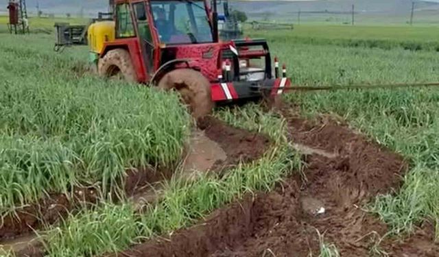 Gaziantep'te yoğun yağış yeşil sarımsak hasadını geciktirdi