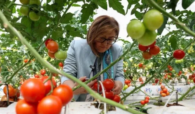Gaziantep'te Çöpten enerji, Organik Üretim! Gaziantep Büyükşehir Belediyesi'nden tarımda çevreci üretim modeli