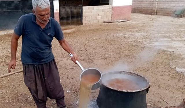 Gaziantep'te gün pekmezi yapımına başlandı