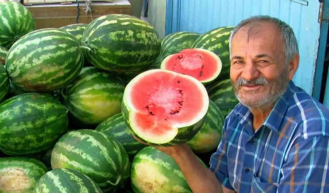 Araban Ovası'nda ikinci ürün güz karpuzu hasadı devam ediyor