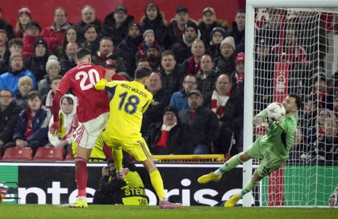 Fenerbahçe, Avrupa kupalarına veda etti