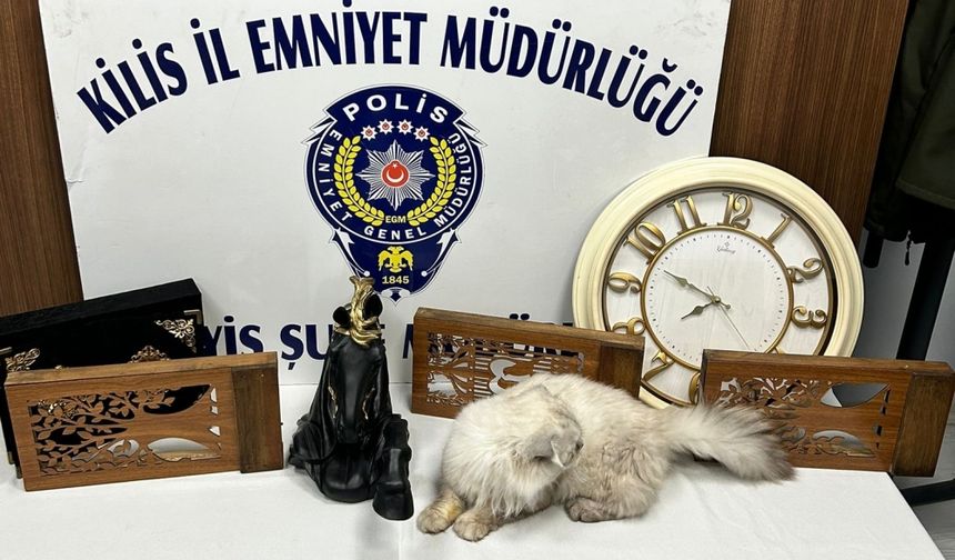 Kilis'te hırsızlık operasyonunda 15 şüpheli yakalandı