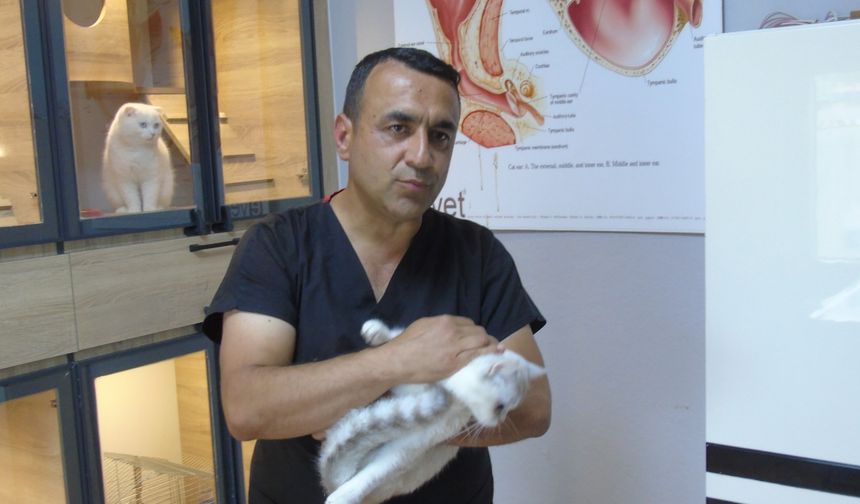 Kliniğinde tedavi ettiği sahipsiz hayvanları sahiplendiriyor