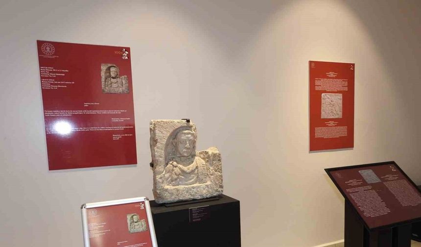 Zeugma Antik Kenti’nden çıkarılan 33 eser sanatseverlerle buluşturuldu