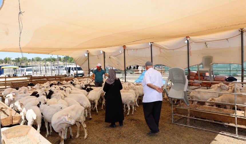 Şahinbey’de kurban satış ve kesim yerleri belirlendi