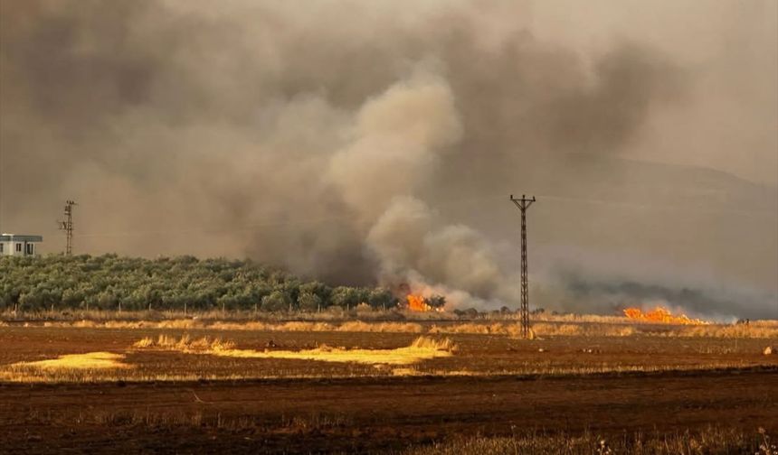 Gaziantep'te buğday ekili alanda yangın! Alevler büyüyor...