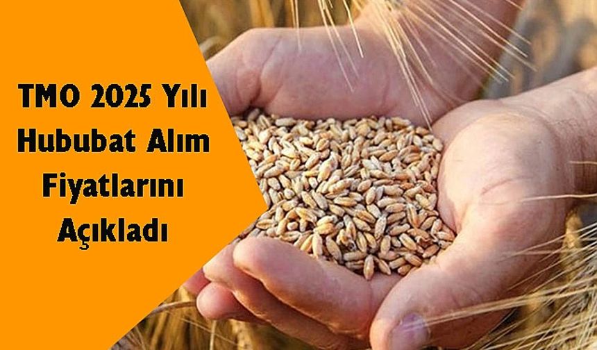 TMO 2025 hububat alım fiyatlarını açıkladı