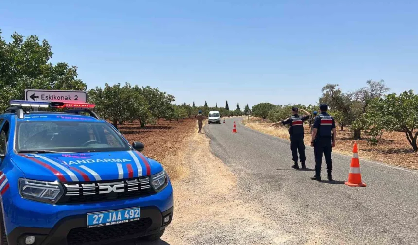 Gaziantep’te jandarma ekipleri ’yeşil altın’ için nöbette