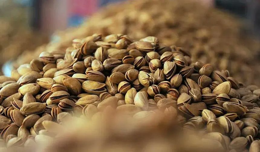 Antep Fıstığında aflatoksin alarmı! Bu sene Antep fıstığına doyacağız! Hepsi sınırda reddedildi
