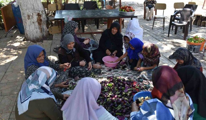 Gaziantep’te kadınların imece usulü kurutmalık telaşı