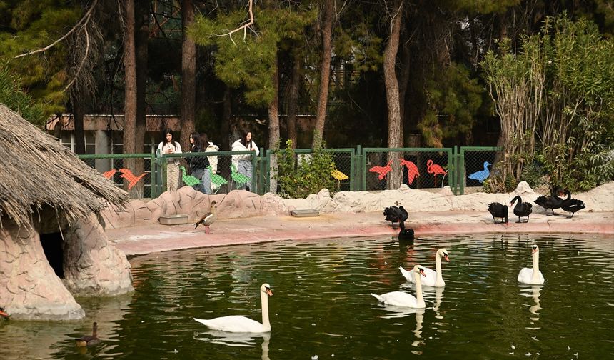 Gaziantep Doğal Yaşam Parkı, ara tatilde 325 bin kişiyi ağırladı