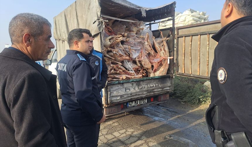 Gaziantep'te 1 ton 900 kilogram bozulmuş et imha edildi