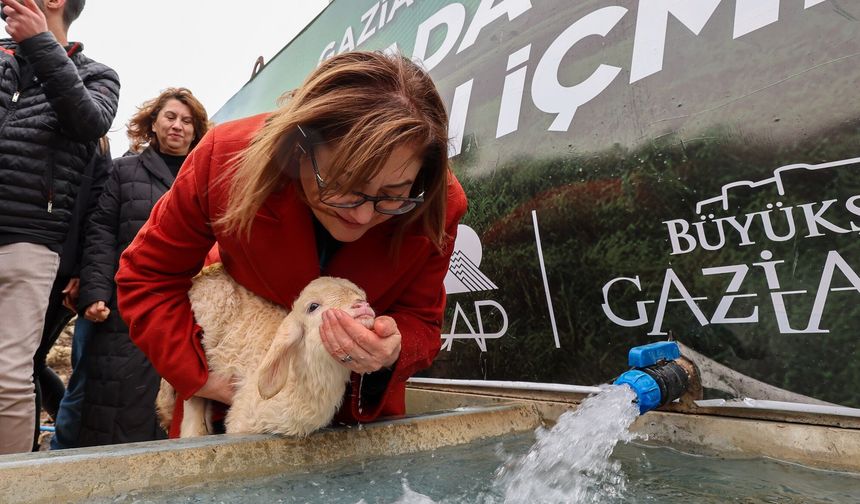 Gaziantep Büyükşehir ile meralarda hayvanlar temiz suya kavuşuyor