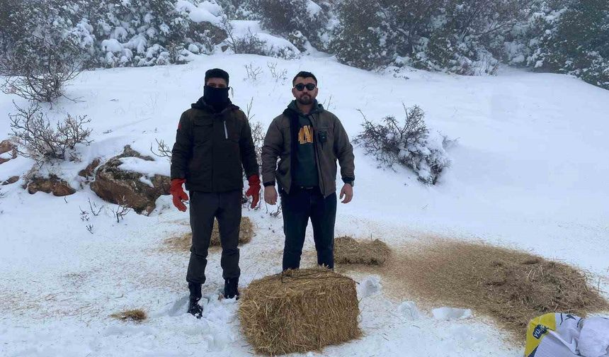 Gaziantep'te karlı havada aç kalan yaban hayvanları için doğaya yem bırakıldı