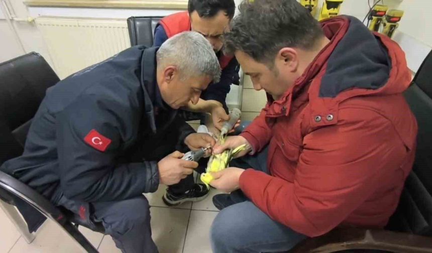 Papağanın ayağına sıkışan halhal itfaiye ekiplerinin operasyonuyla çıkarıldı