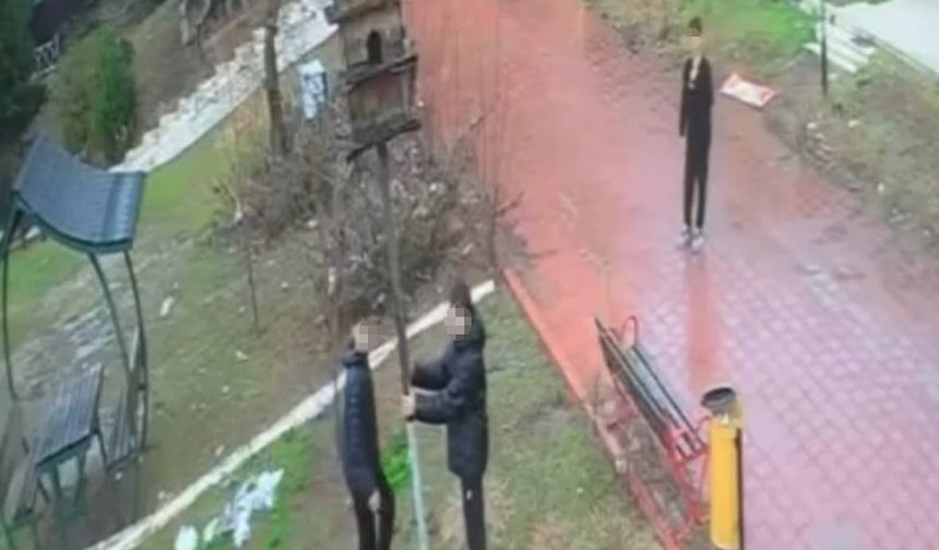 4 genç kuş yuvasını böyle parçaladı