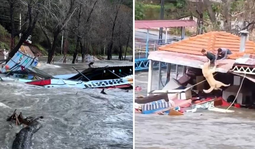 Taşan çaydaki işletme yıkıldı, sulara kapılmak üzere olan bir köpek son anda kurtarıldı