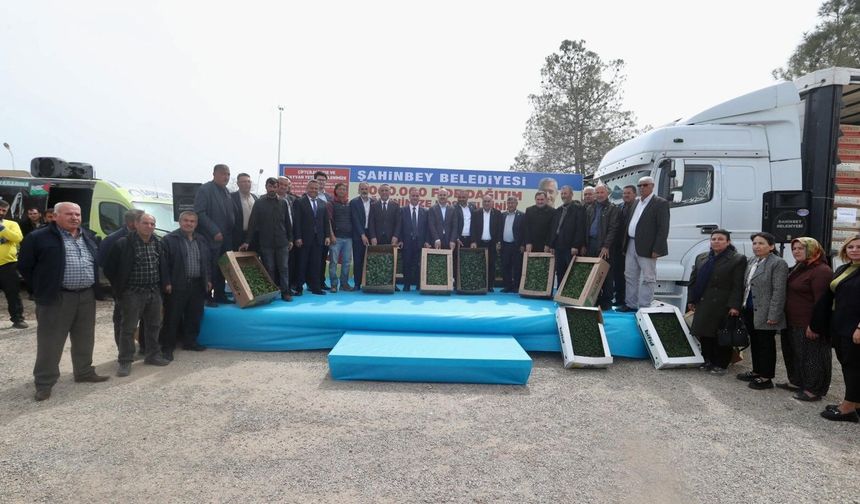 Şahinbey'de çiftçilere 5 milyon sertifikalı fide desteği verildi