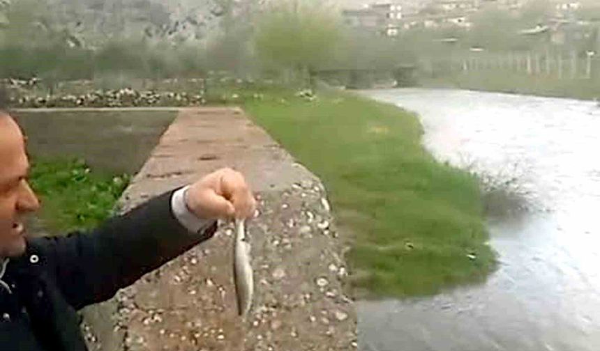 Araban'da Ardıl Çayı yıllar sonra yeniden aktı