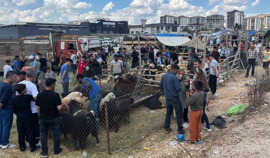 Arefe günü Gaziantep'teki kurban pazarlarında yoğunluk had safhaya çıktı
