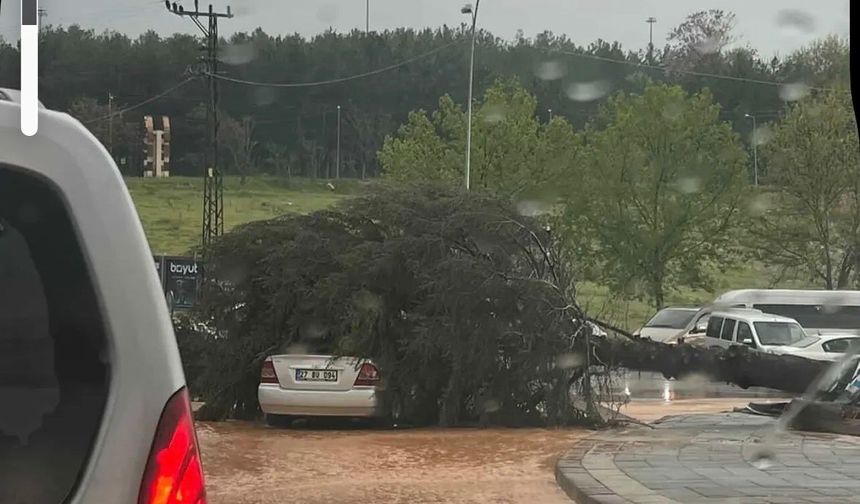 Gaziantep'te Çatılar uçtu, ağaçlar devrildi, park halindeki araçlar büyük zarar gördü