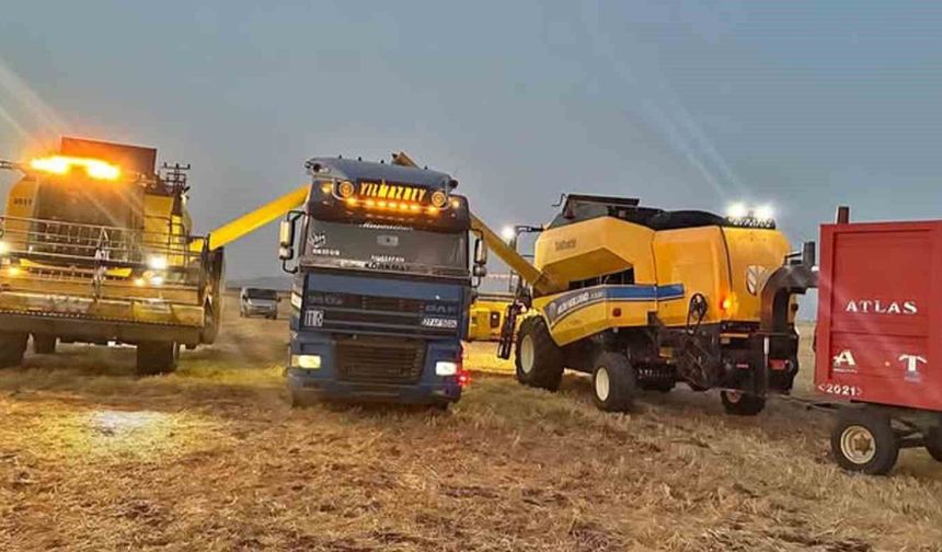 Araban Ovası'nda hububat hasadı devam ediyor