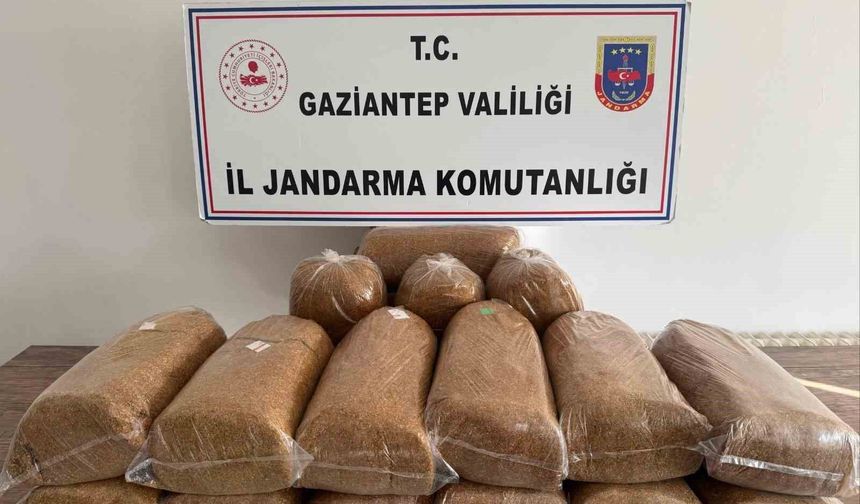 Gaziantep'te 353 aranan şahıs yakalandı