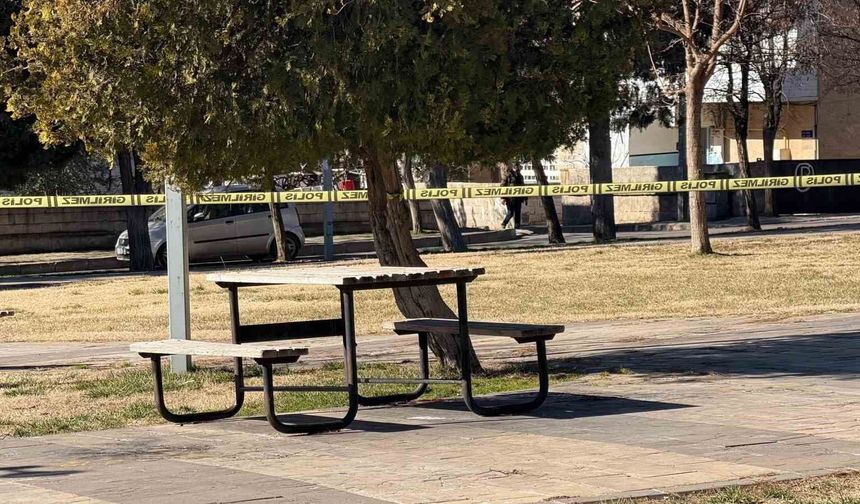 Gaziantep'te parkta eski karısını öldürmüştü! O sanığa müebbet