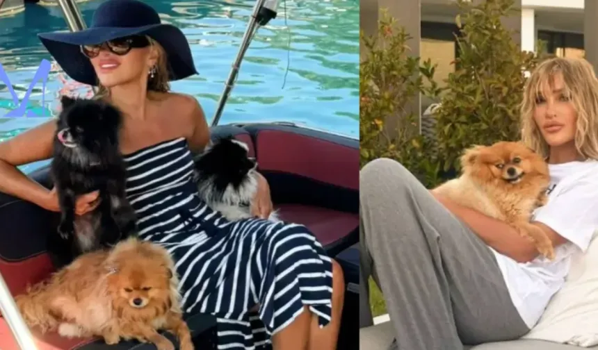 Benim bu dünyayla işim bitti! Seren Serengil'in acı günü! Köpeğini kaybetti